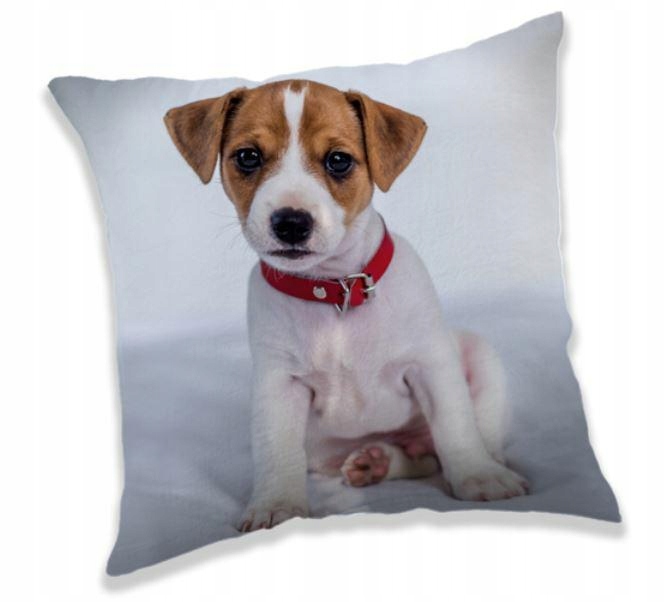 

Poduszka dziecięca 40x40 Pies Piesek Dog szara