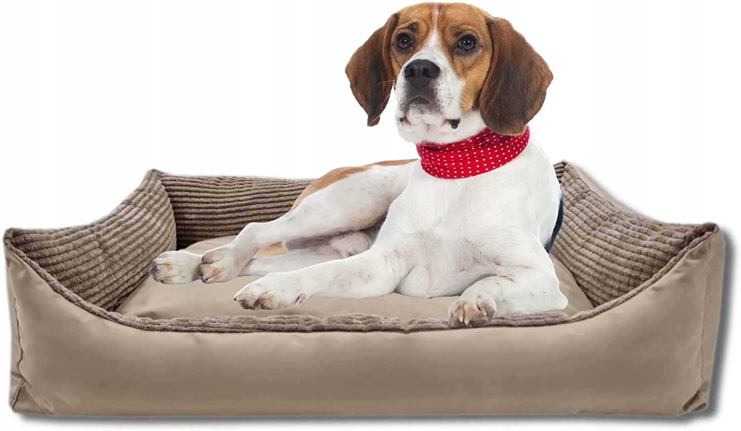 Legowisko dla psa duża kanapa kojec 100x70 Sztruks Beżowy