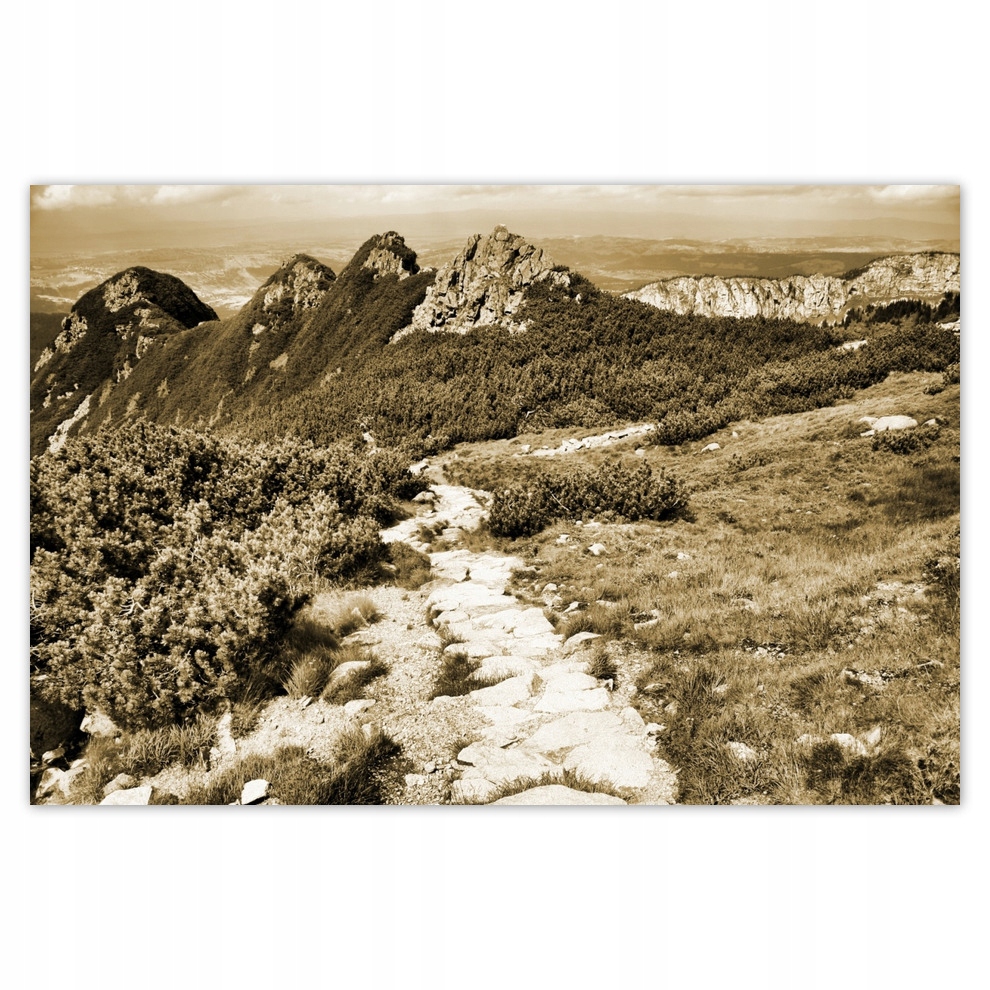 

Plakaty 93x62 Tatry Polskie góry Widok