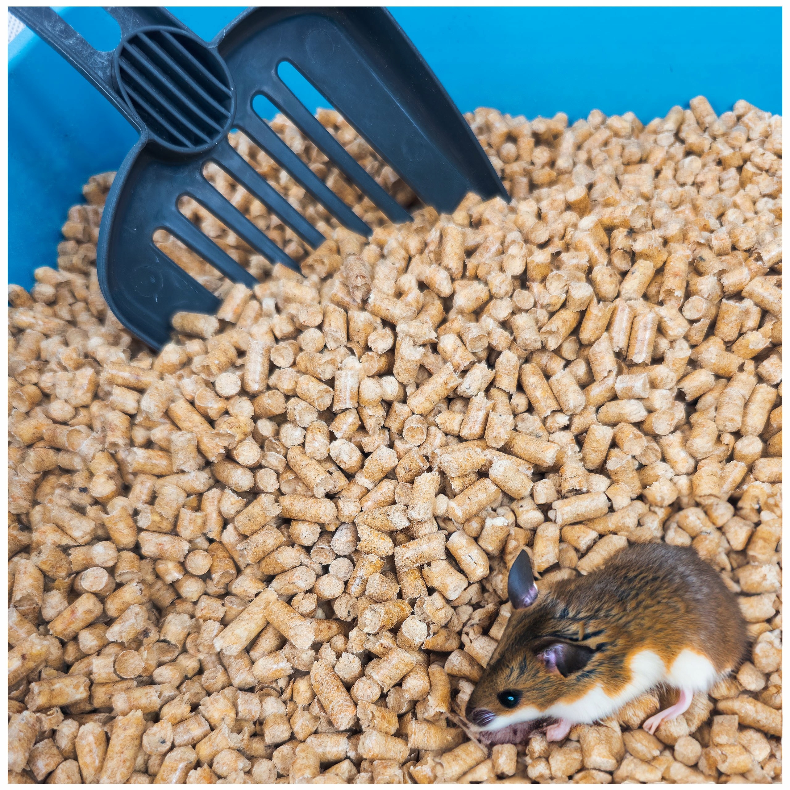 Levně Pellet Stelivo Podložka Stelka Ekologická Pelety Pro Zvířata kočka krále 20k