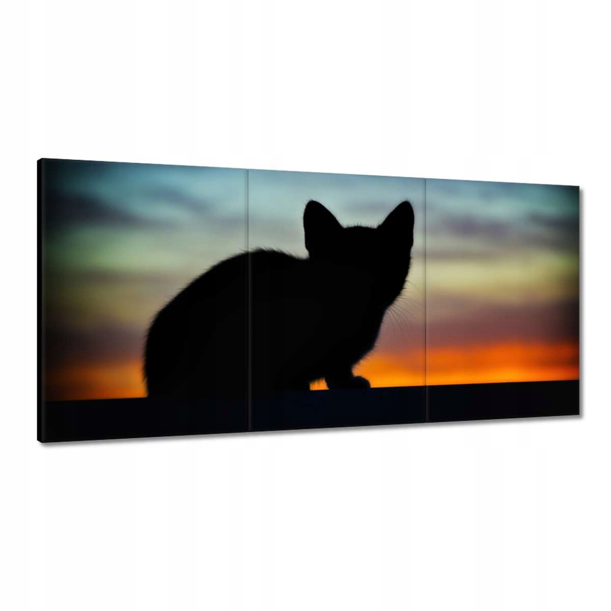 Obrazy 180x90 Uctievané mačiatko