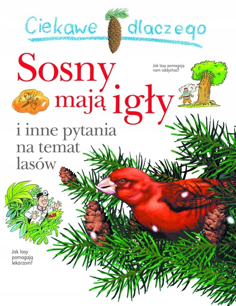 Ciekawe dlaczego sosny mają igły