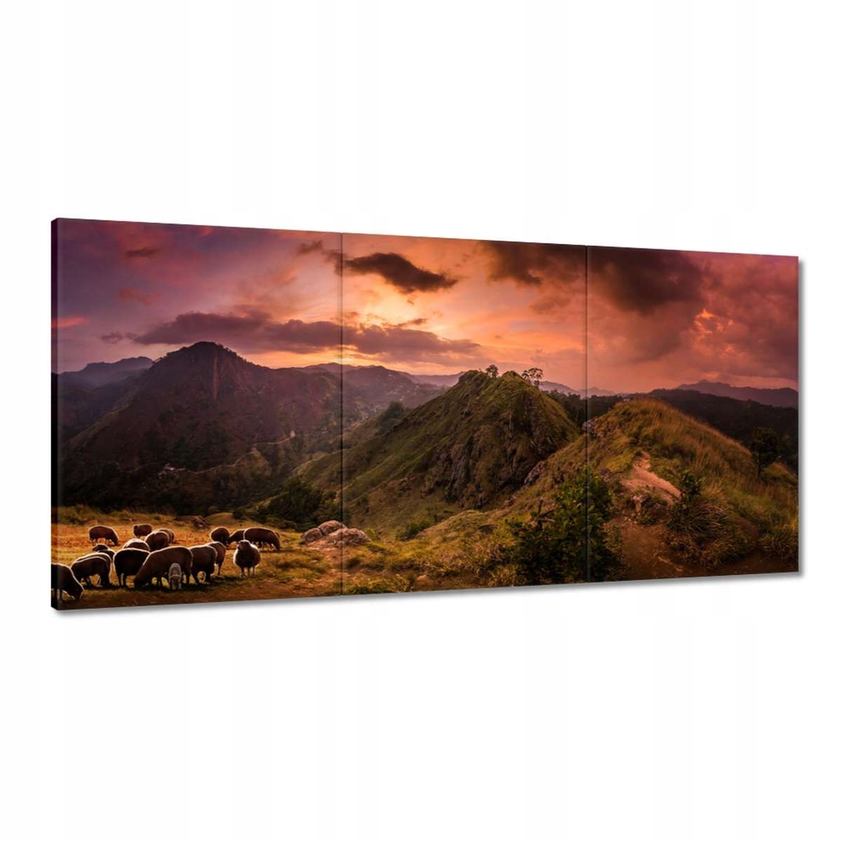 Obrazy 180x90 Krajina s horami Ovca