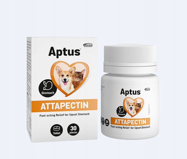 Aptus Attapectin 30 tabletek