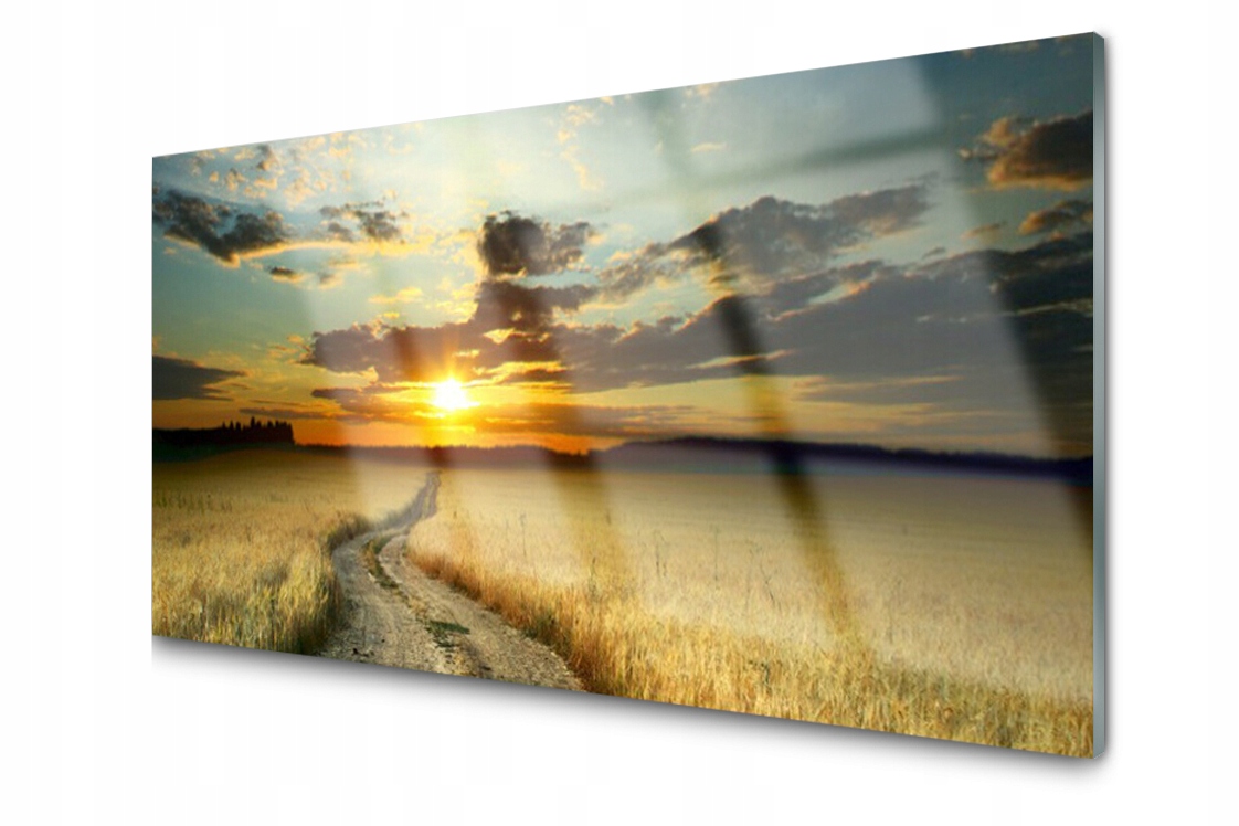 Skleněný obraz Cesta Pole Krajina Foto 100x50