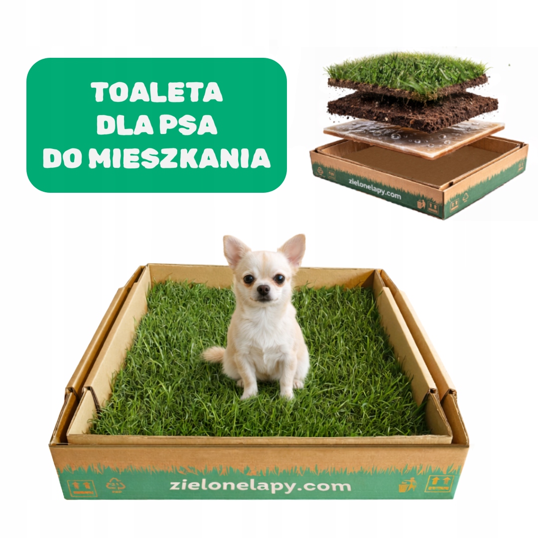 Toaleta pro psa do bytu opravdová tráva 50×50 cm