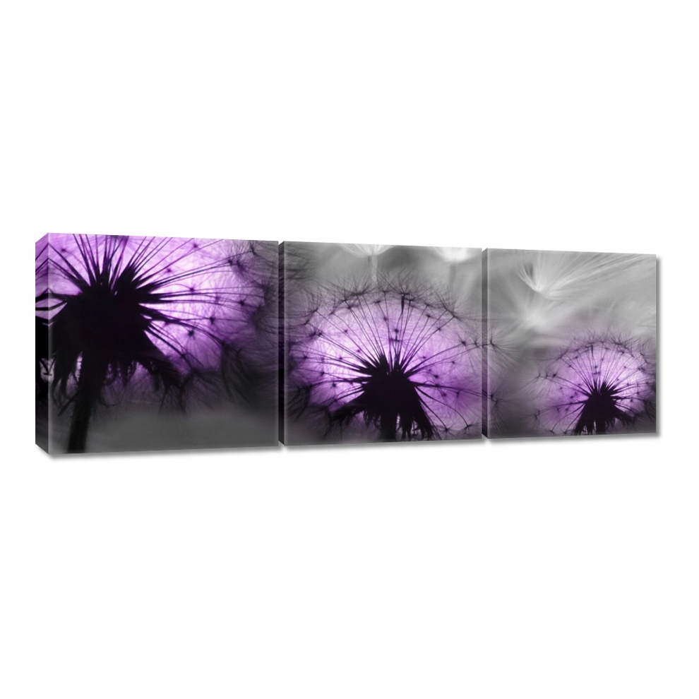 

Obrazy 120x40 Odbicie w wodzie Latawce