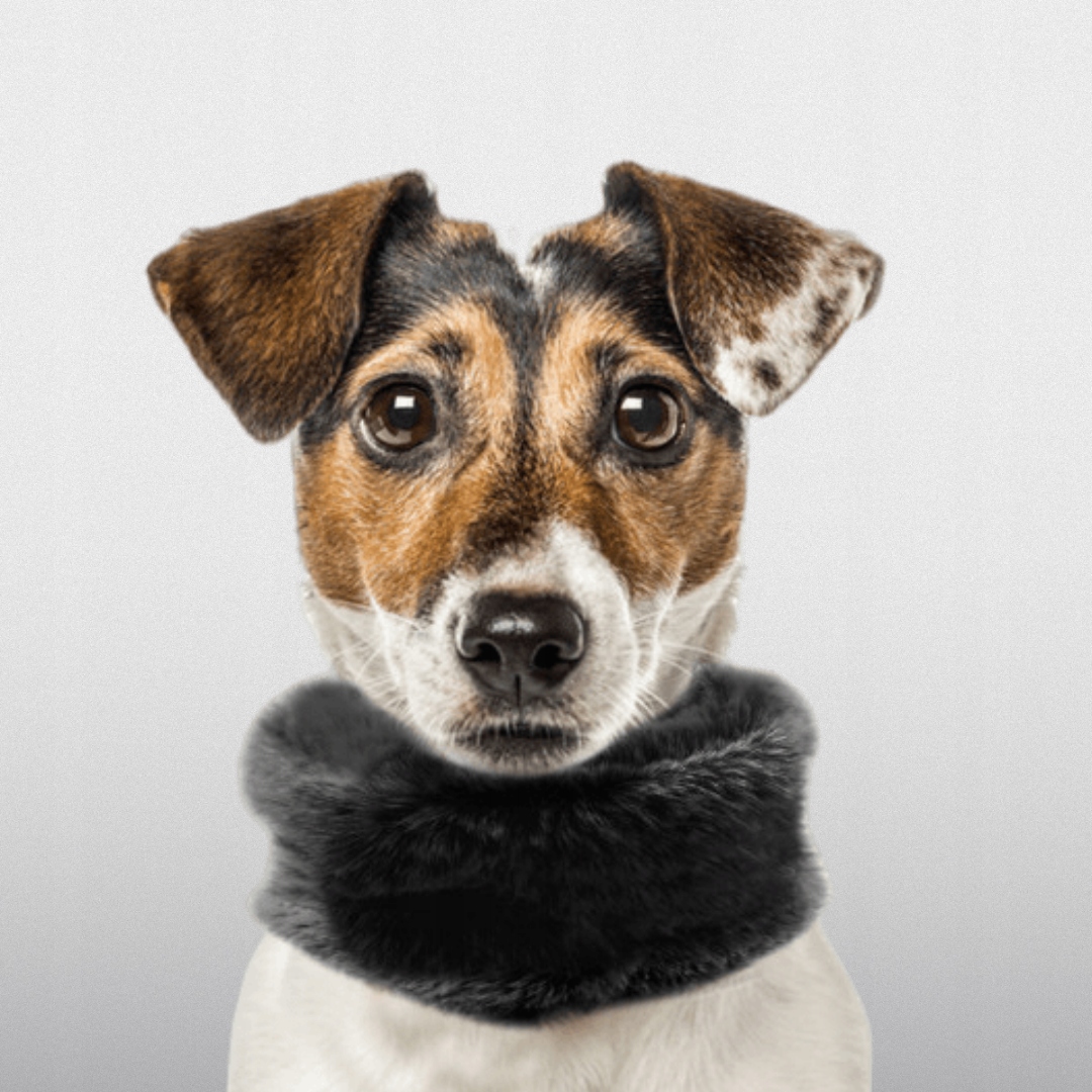 Šátek Pro Psa S Kožešinou Černý Milk&pepper Tanya Snood 38/45 cm