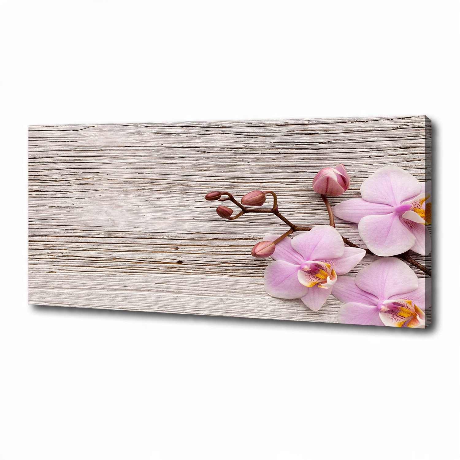 

Foto obraz na płótnie Orchidea na drewnie 125x50cm