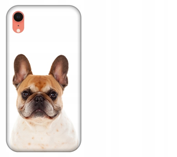 

Etui pokrowiec iPhone Xr Pies buldog francuski
