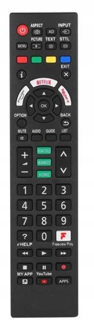 PILOT DO PANASONIC N2QAYB000593 N2QAYB000604 TV