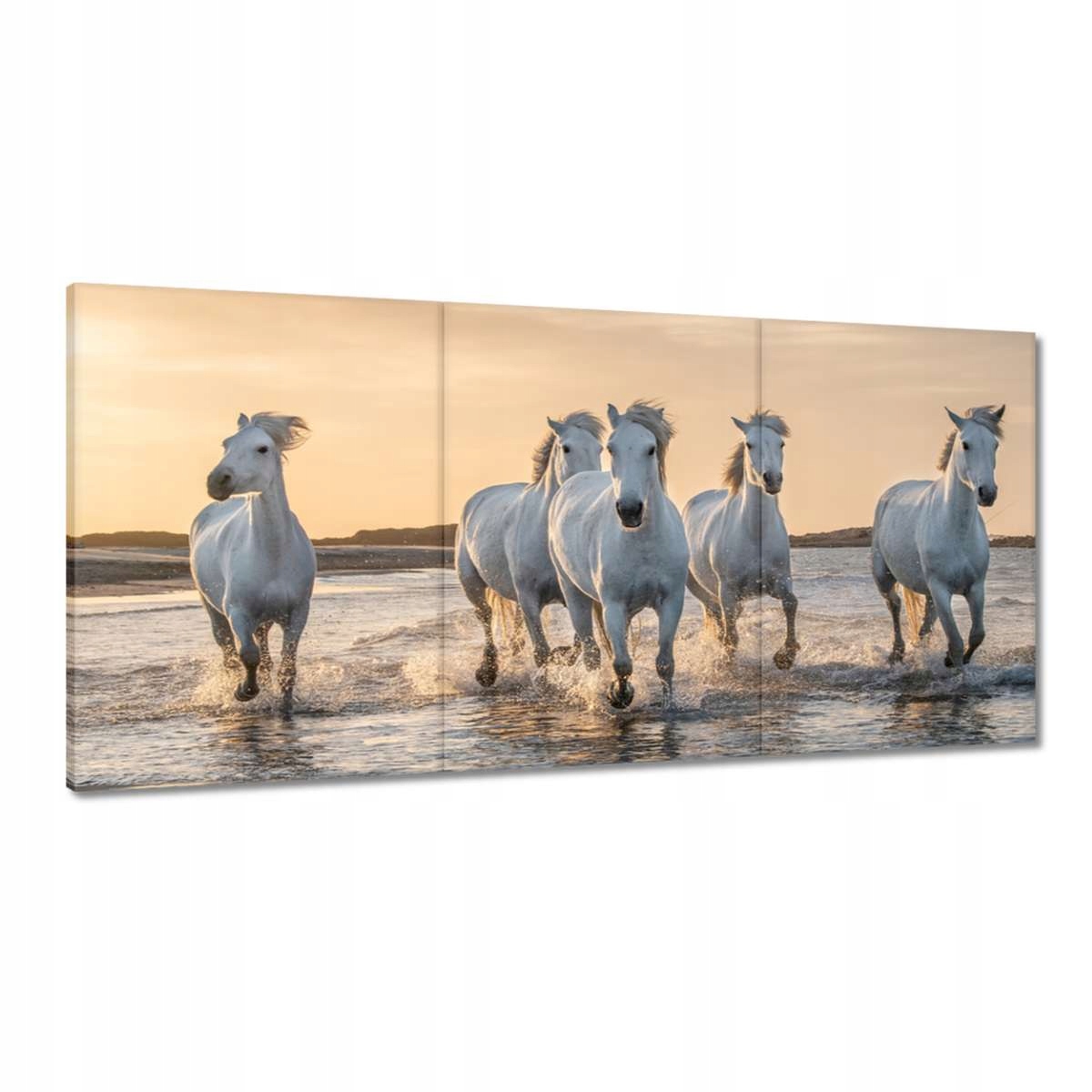 Obrazy 180x90 Divoké kone Wild Horses
