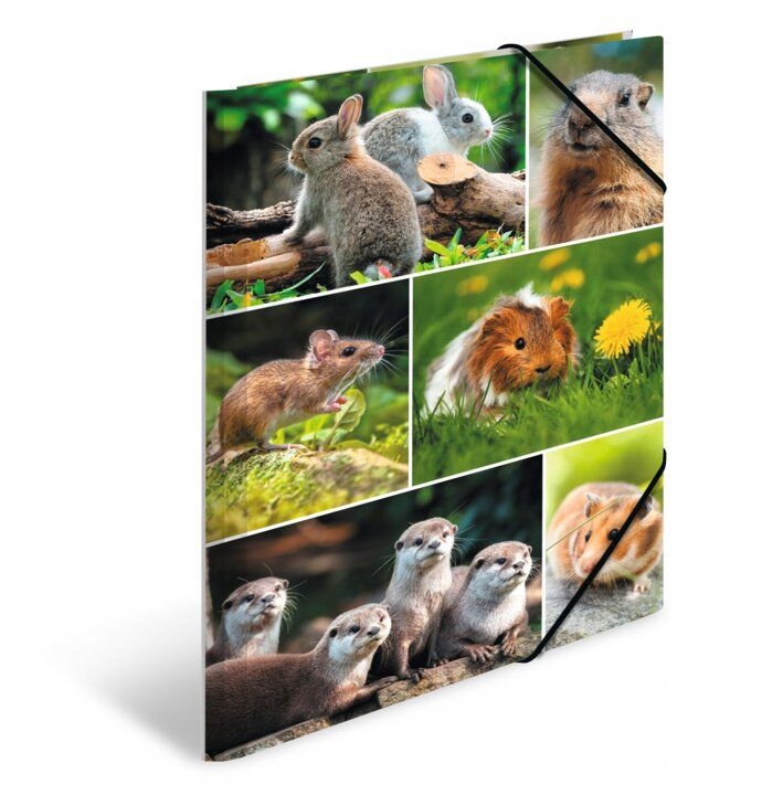 

Teczka tekturowa A4 z gumkami, Gryzonie