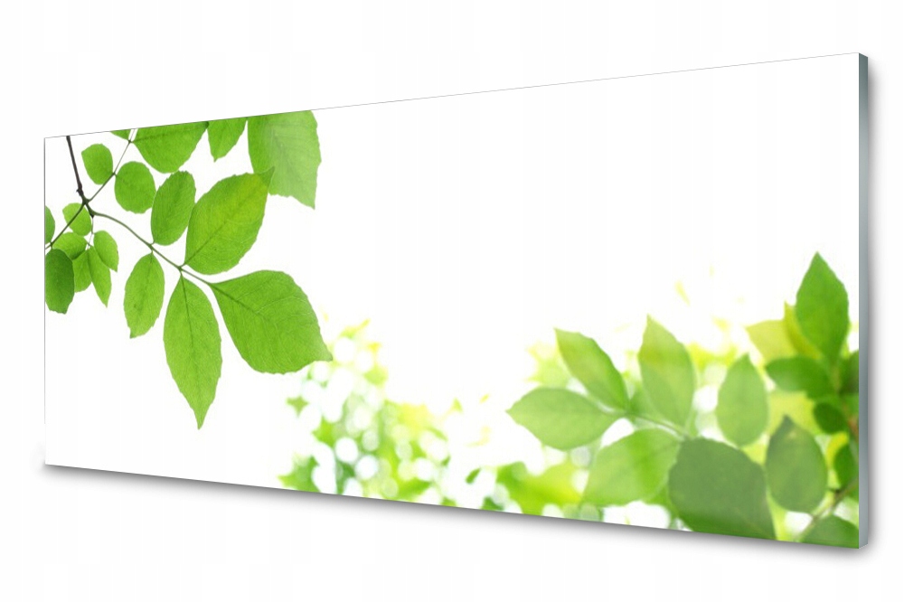

Panel szklany do kuchni Liście Natura 125x50