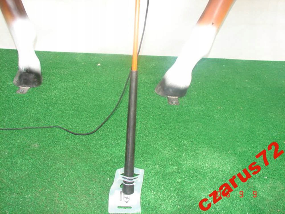 BAT DO POWOŻENIA 160CM -180CM Rodzaj bat