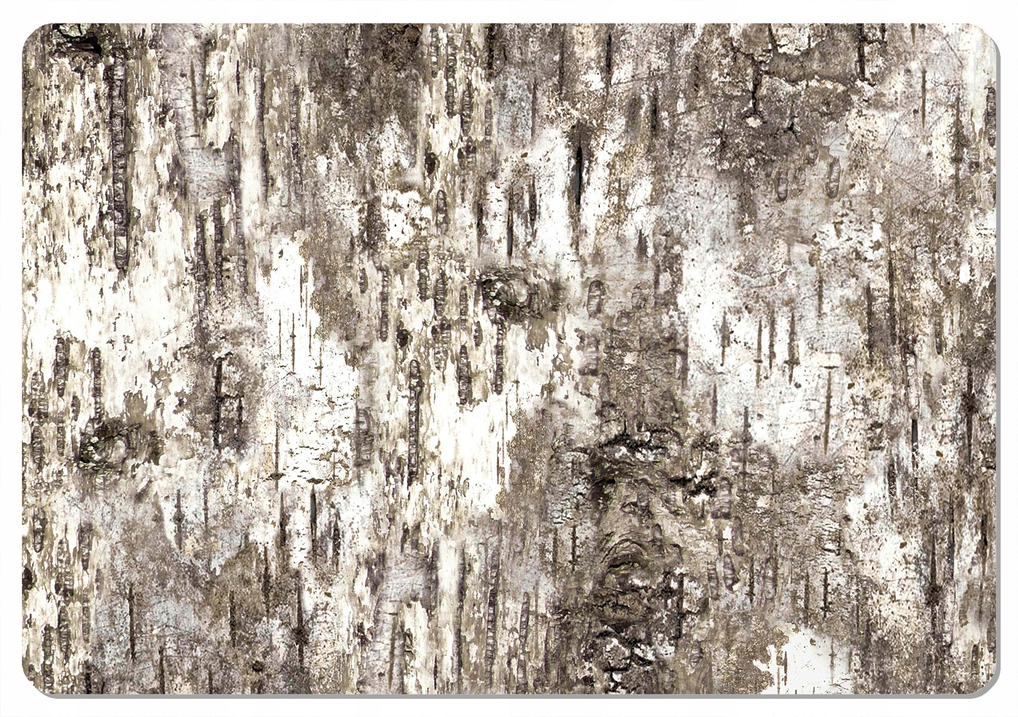 

Podkładka prostokątna Bertoni 29x42 cm Brzoza