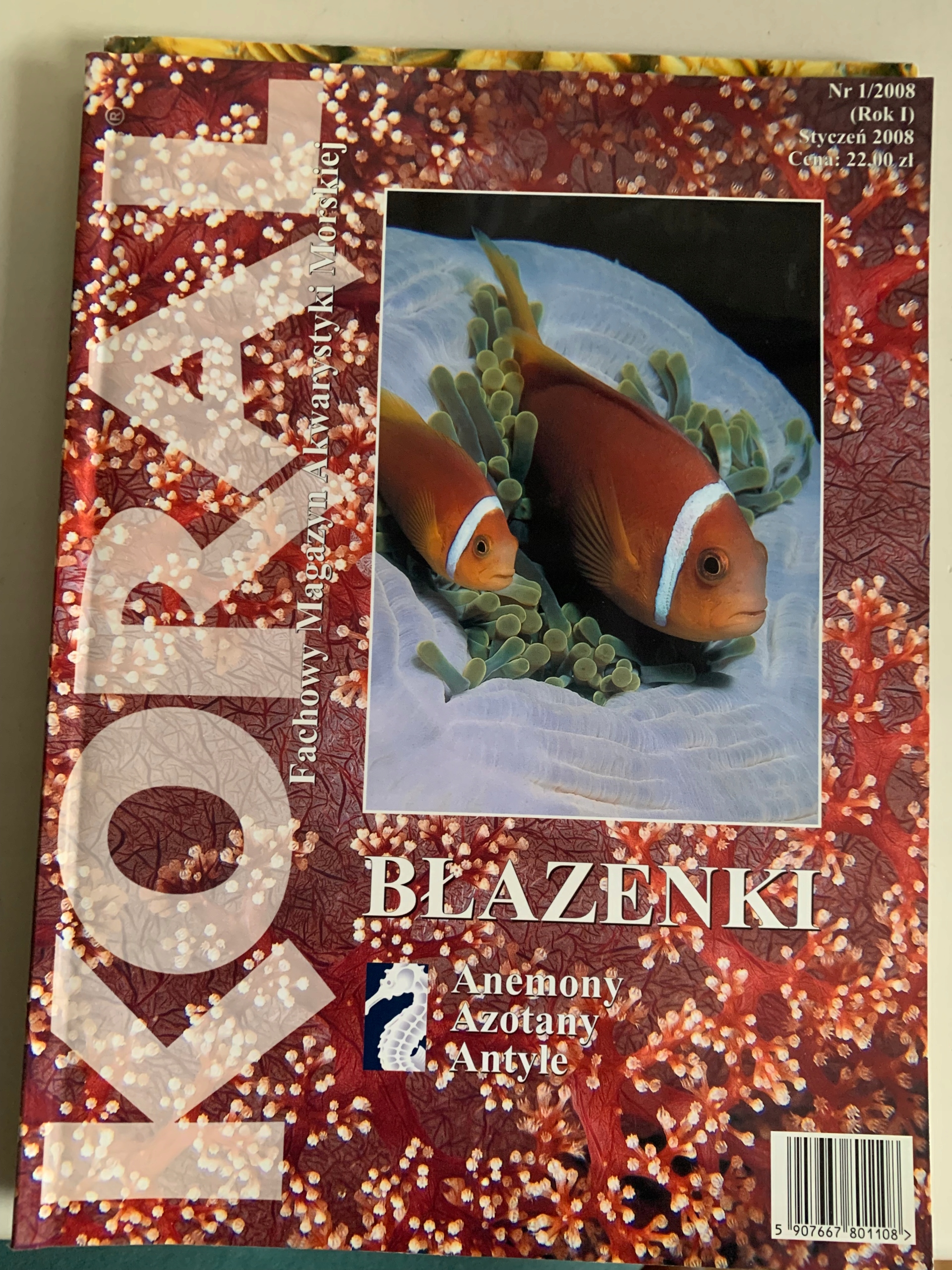 MAGAZYN AKWARYSTYKI MORSKIEJ KORAL Nr 1/2008 (1)