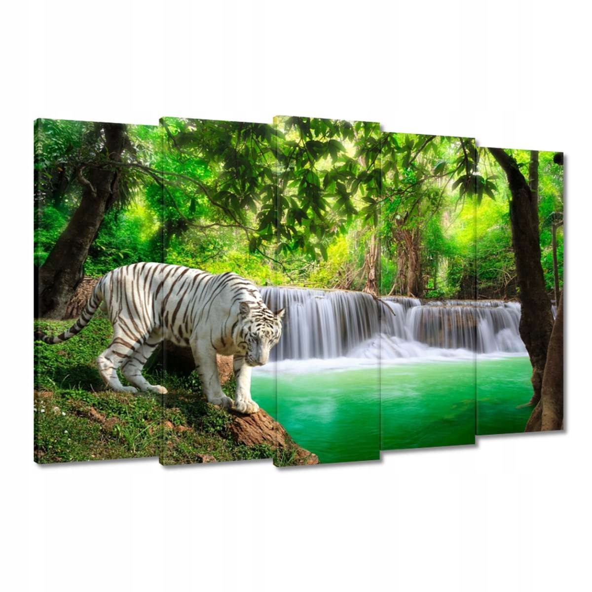 Obrazy 150x95 Tygr u vodopádu