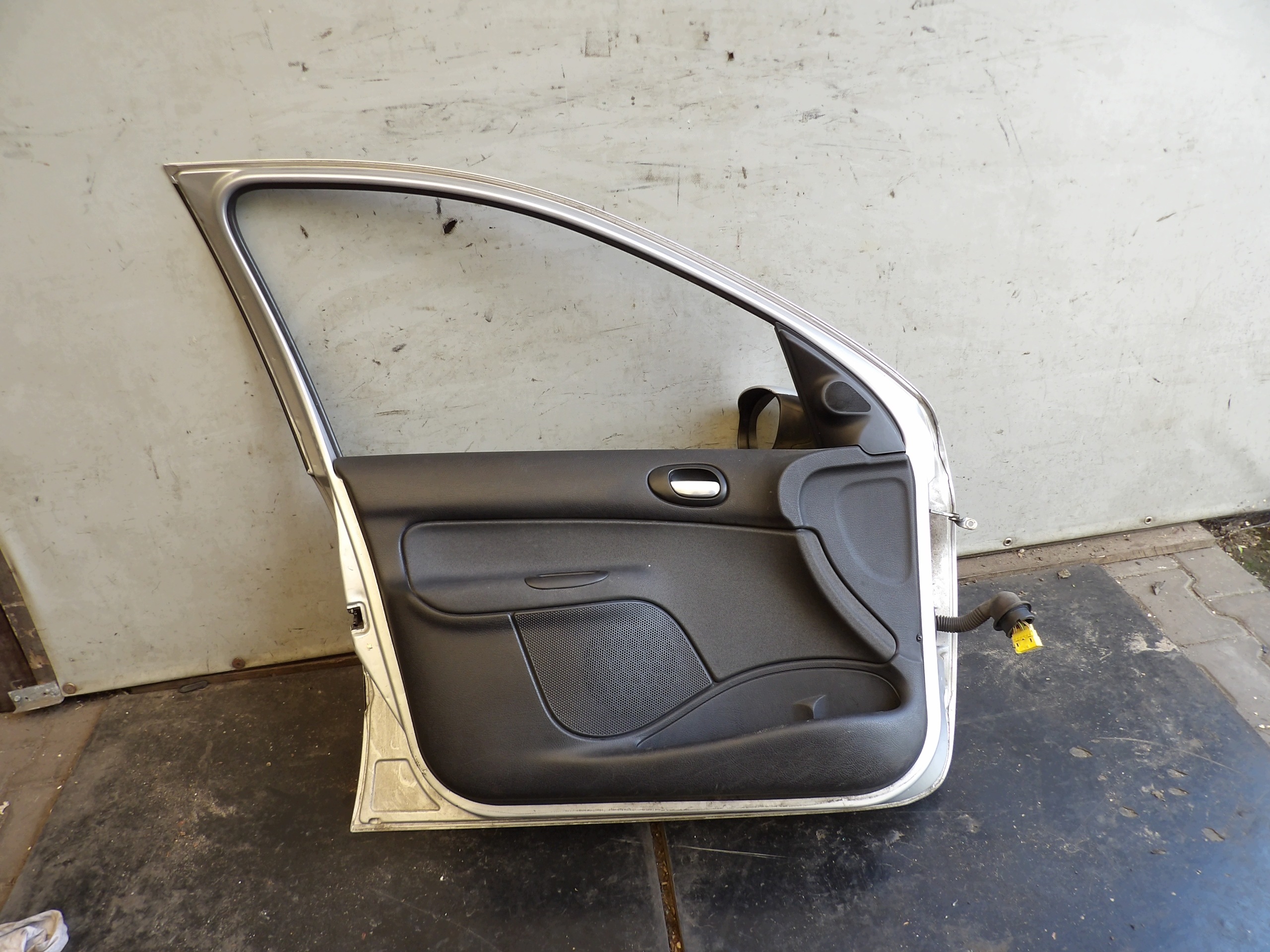 Peugeot 206 door front left 5d EZR