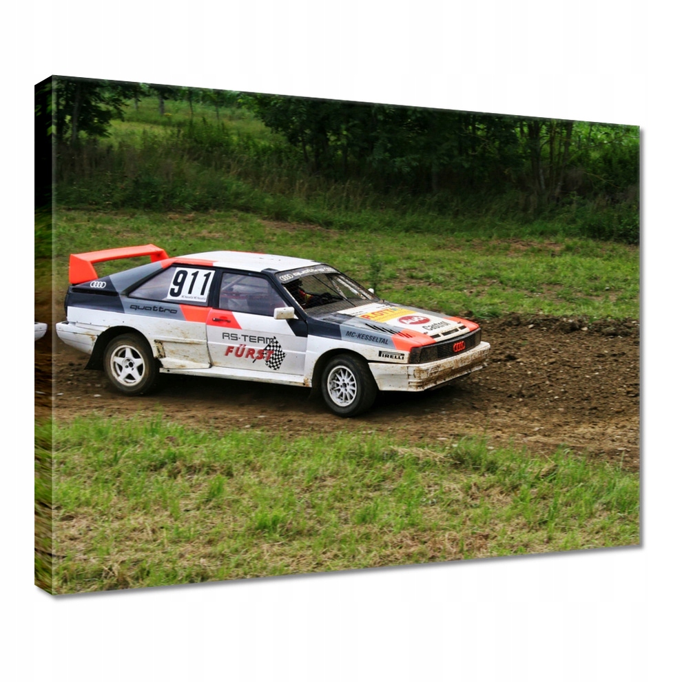 

Obraz 50x40 Audi Quattro na trasie