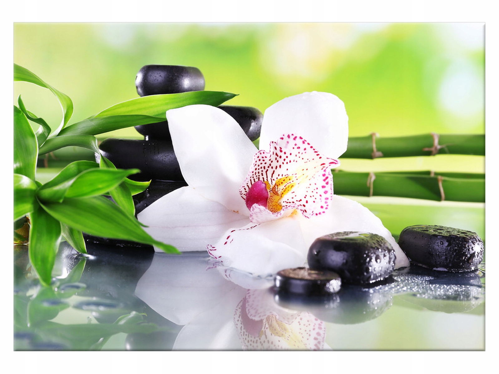 

Obraz Kamienie Spa i storczyk 100x70 1995A_1Z