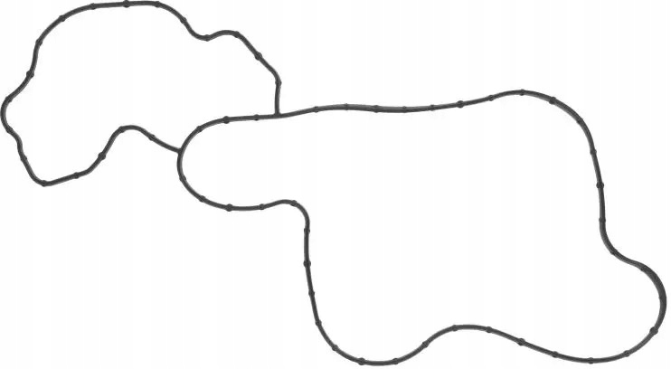 ELRING USZCZELKA POMPY WODY 890.780