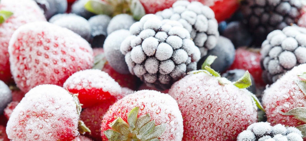 Lodówka INDESIT LI8 S2E W 188.9cm Biała Model LI8 S2E W