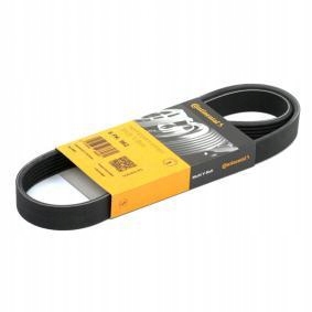 

Pasek Wielorowkowy Contitech 6PK1244