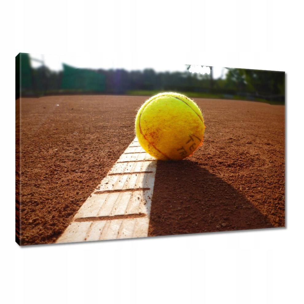 

Obrazy 90x60 Piłeczka tenisowa Tennis