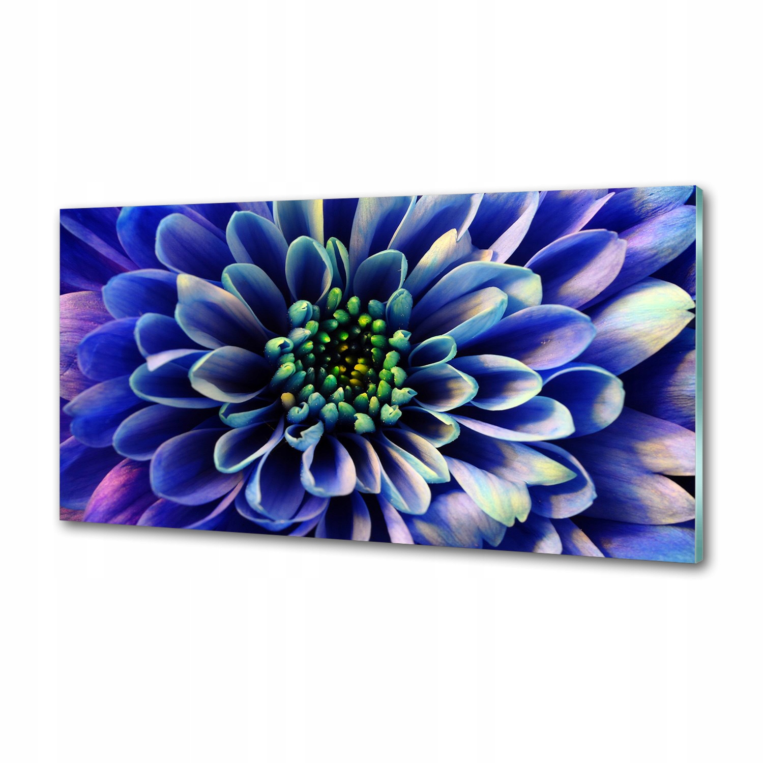 Sklenený panel do kuchyne Aster 120 x 60 cm Lepidlo