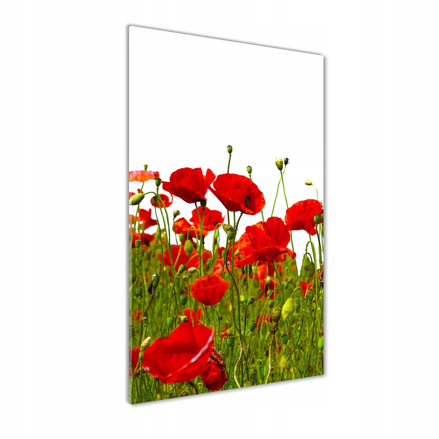 

Foto obraz szkło hartowane Pole maków 60x120 cm
