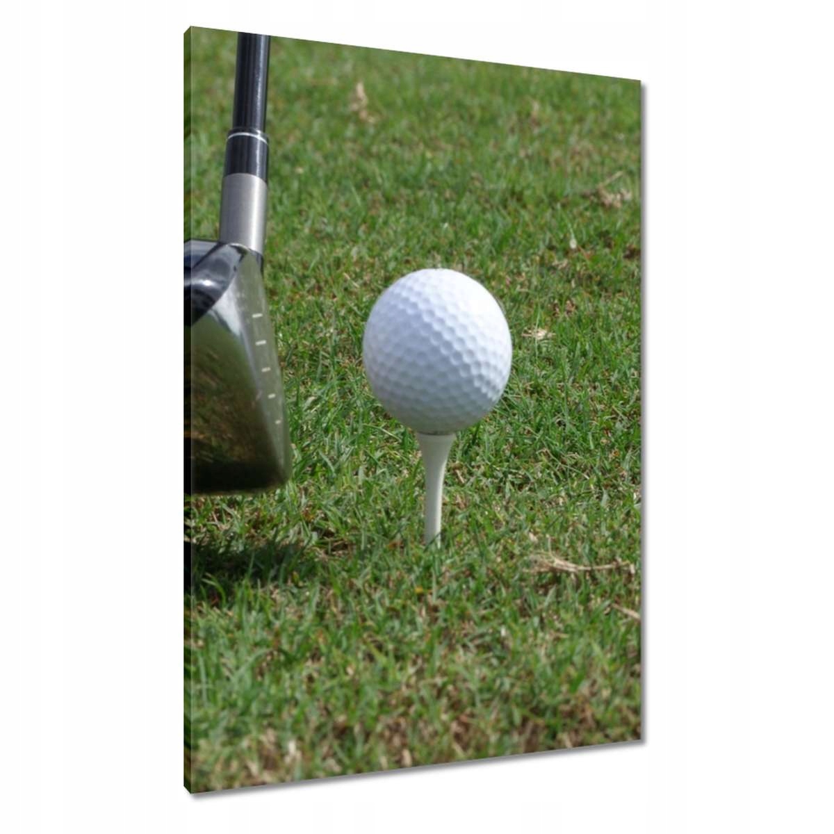 Obrazy 70x100 Golf