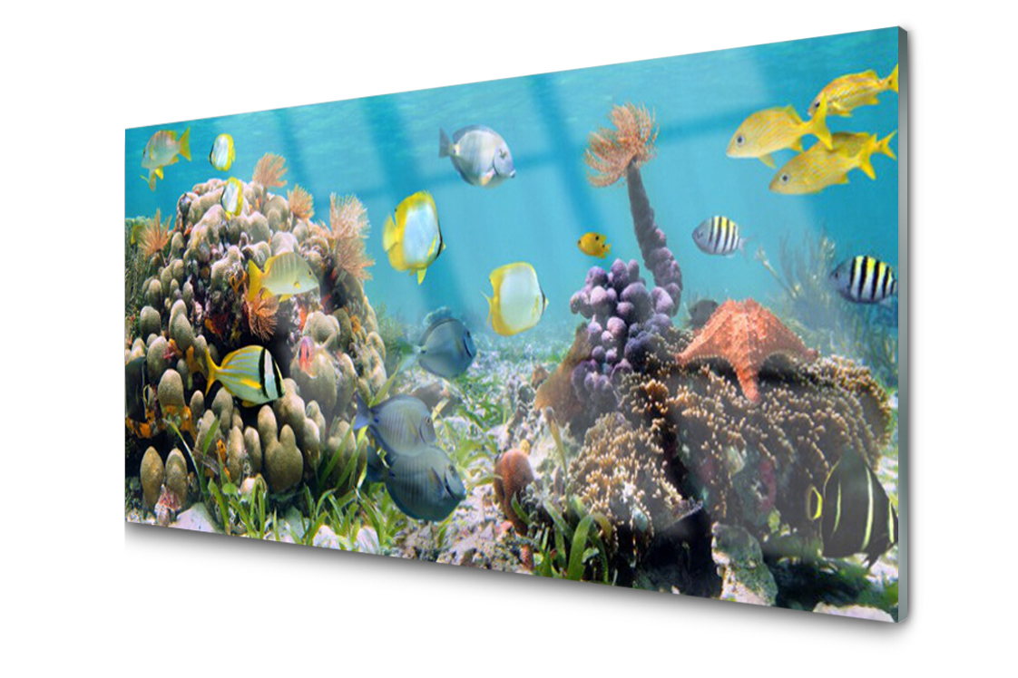 

Panel szklany dekor Rafa Koralowa 140x70 + Klej
