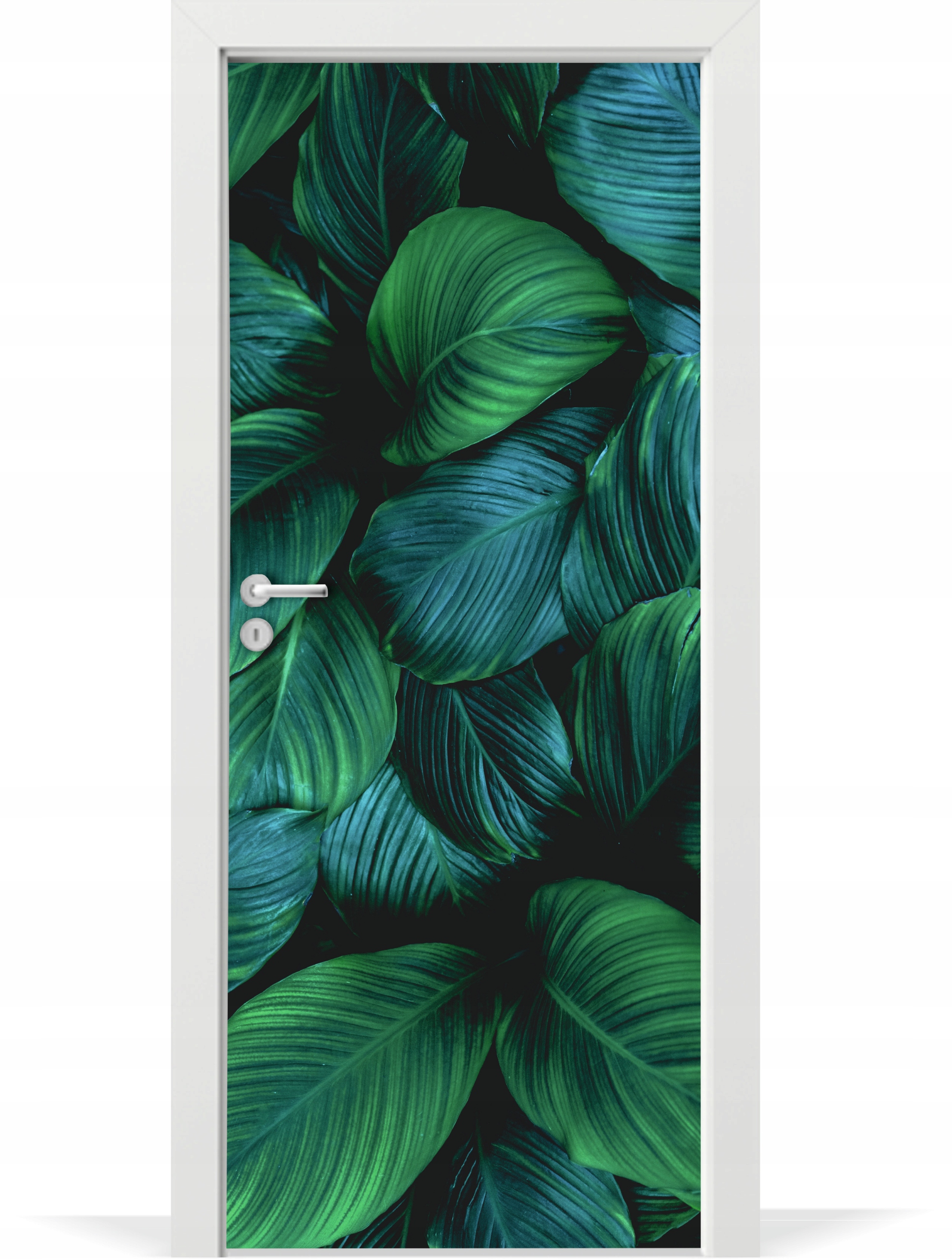 

Folia fototapeta na drzwi Skrzydłokwiat liście