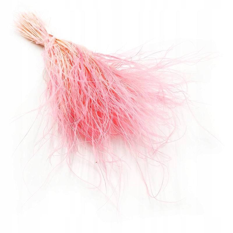 

Ostnica wrzosowa Stipa pennata trawa susz boho