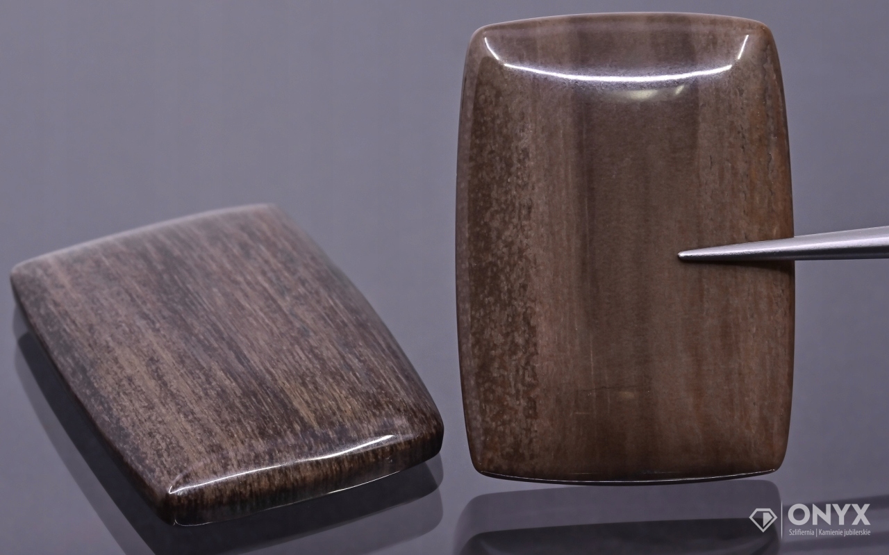 Zkamenělé dřevo nízký kabošon cushion 35,5x25 mm