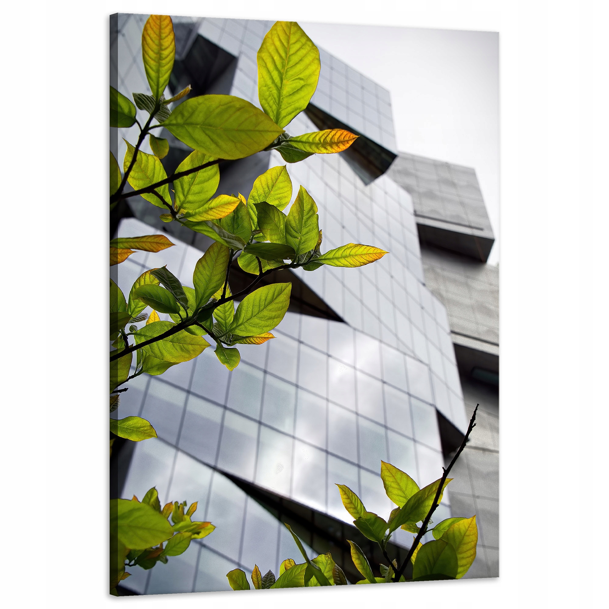 Obraz na plátně Architektura Moderní budova Příroda 60x90 cm