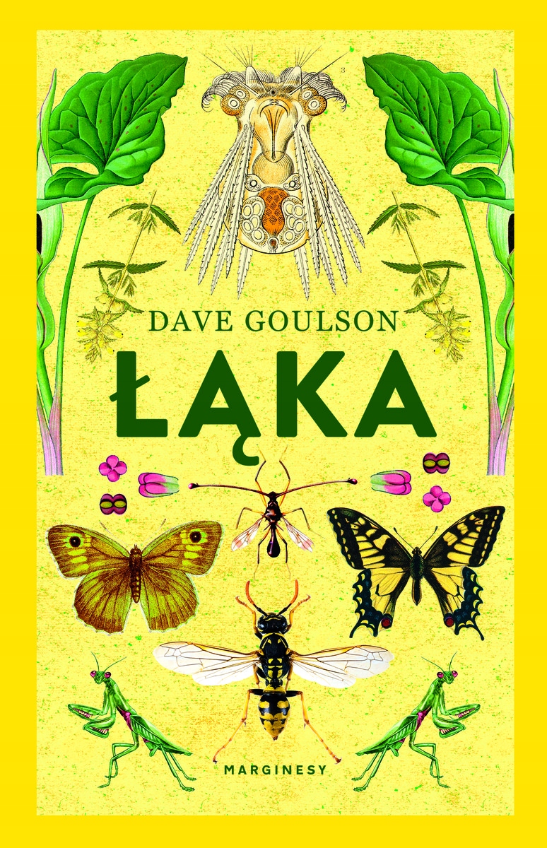 Łąka Dave Goulson
