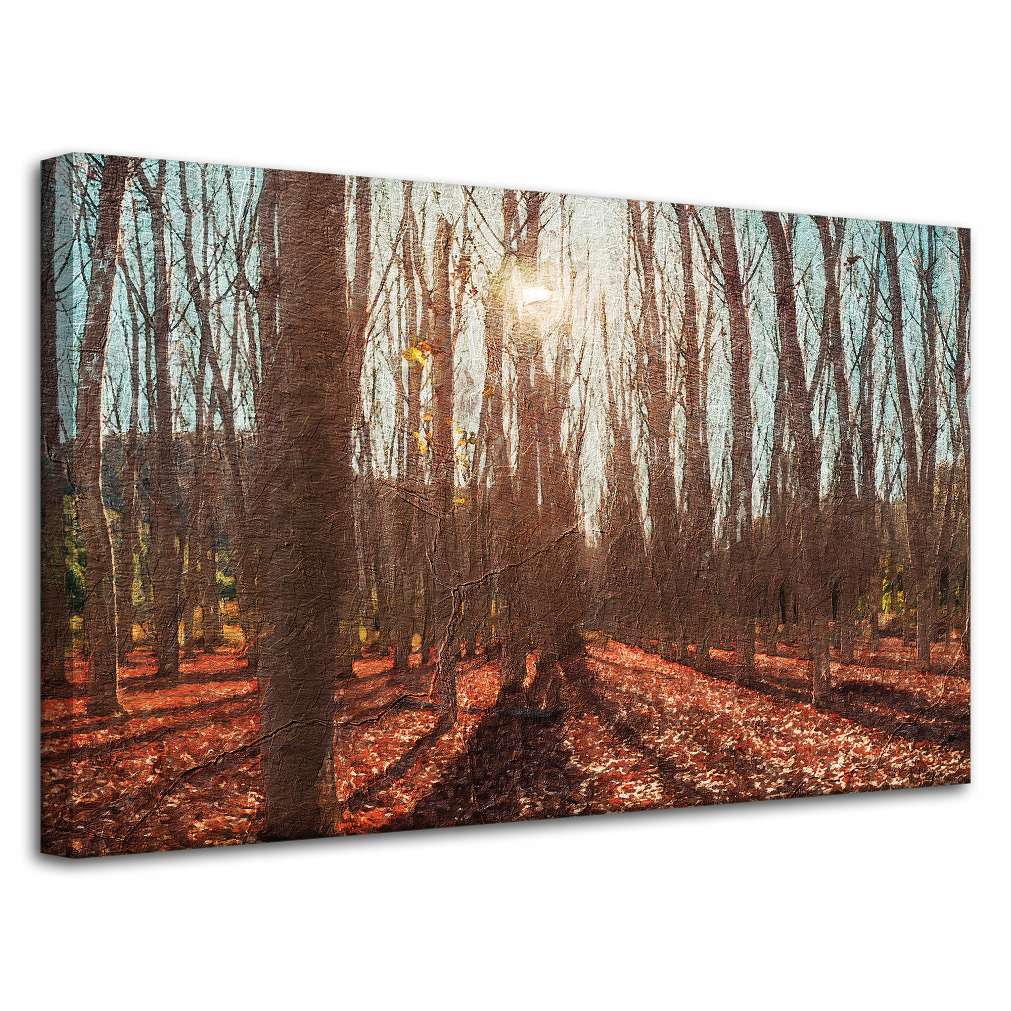 Obraz na plátně Les Na podzim Listy Barevné Příroda 80x50 cm