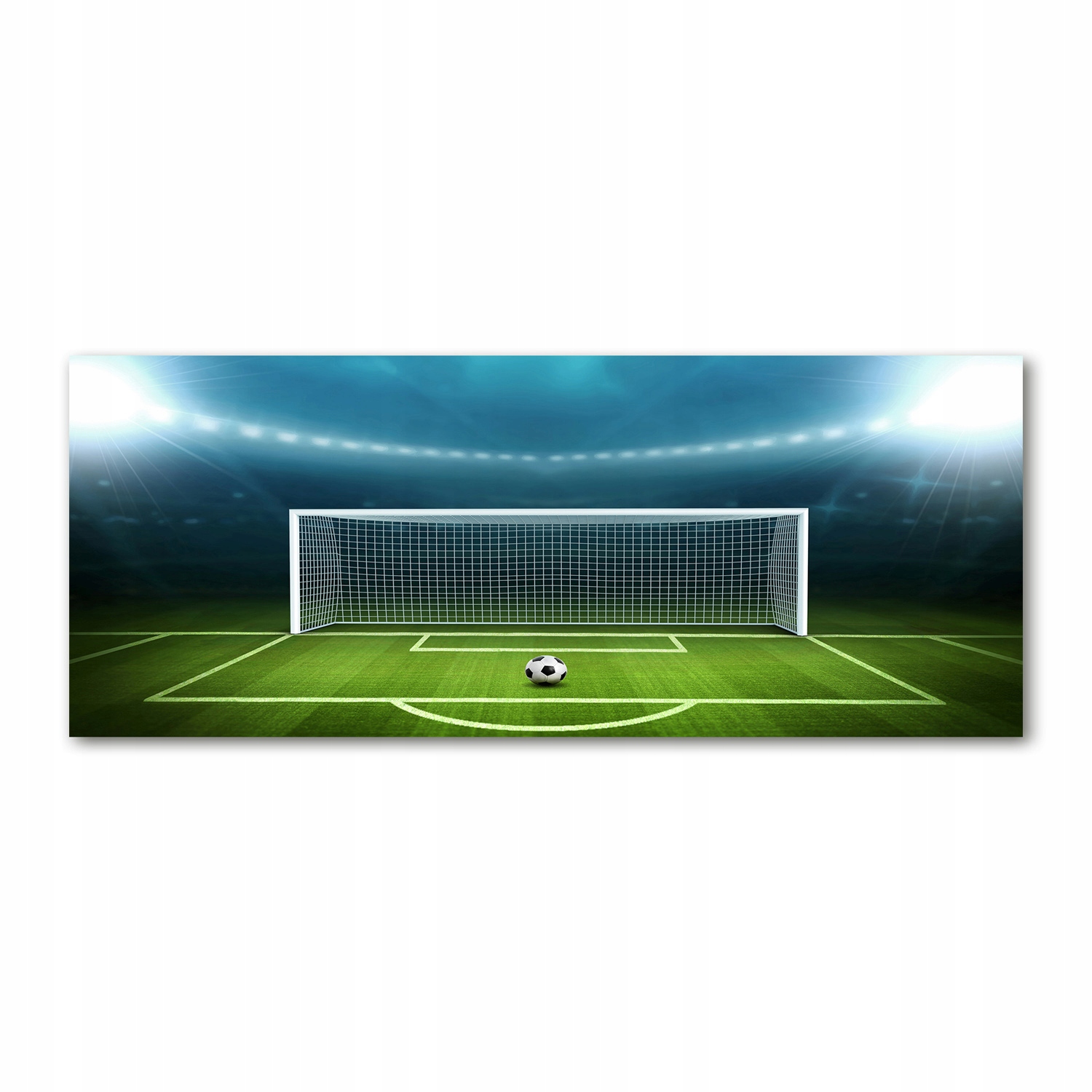 

Foto obraz na szkle akrylowym Stadion 125x50 cm