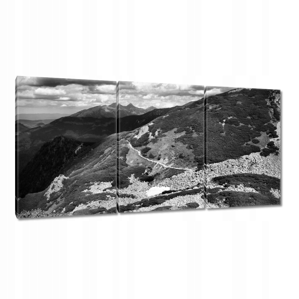 

Obrazy 120x60 Tatry Polskie góry Widok