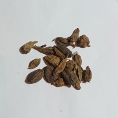 Levně Černý kardamom 1 kg Rafex