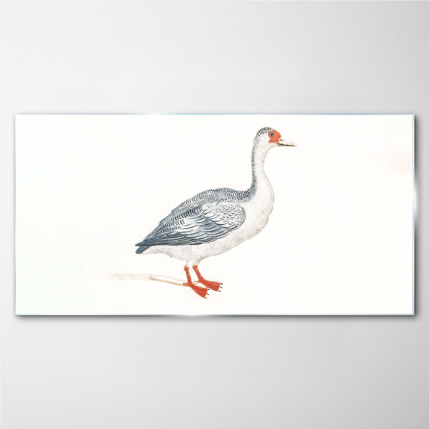 

Obraz szklany na ścianę Zwierzę ptak gęś 140x70 cm