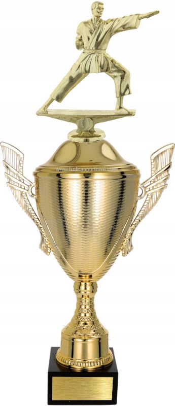 

Piękny puchar z figurką Karate 42 cm +grawer