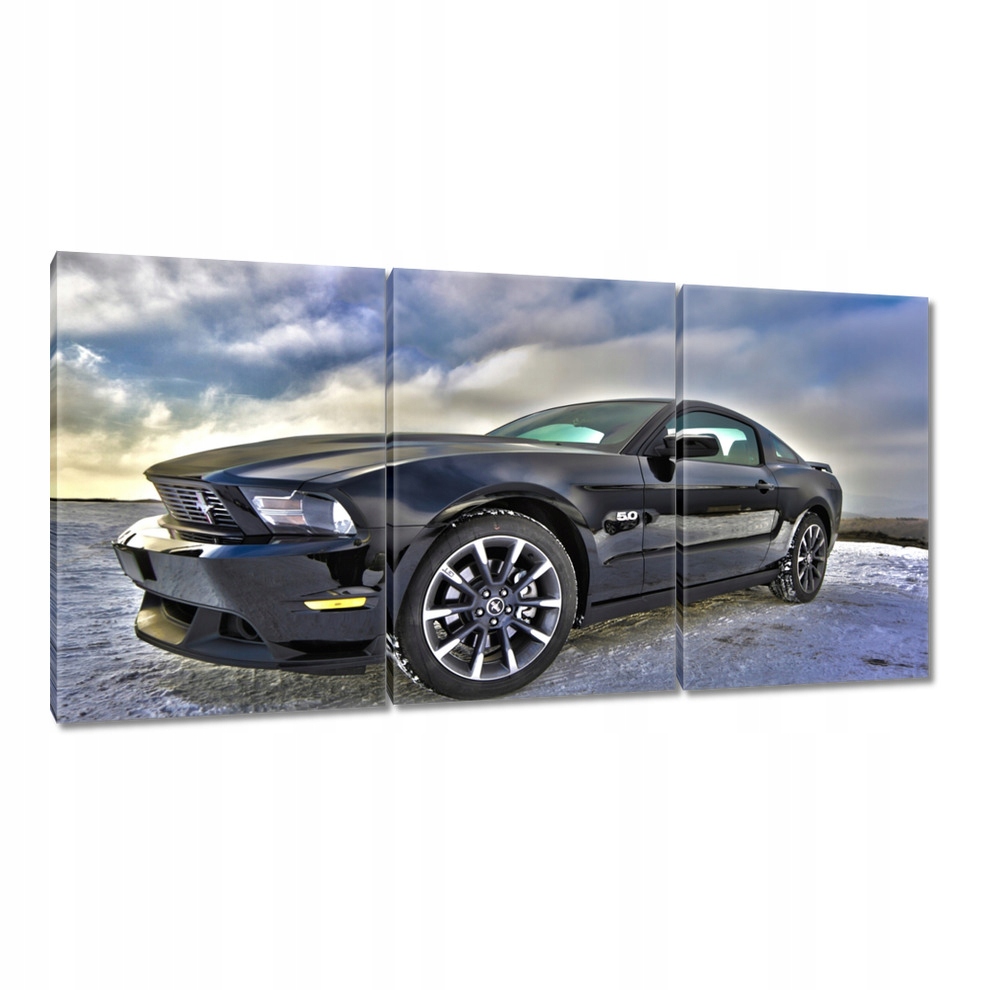 

Obrazy 120x60 Ford Mustang w zimie