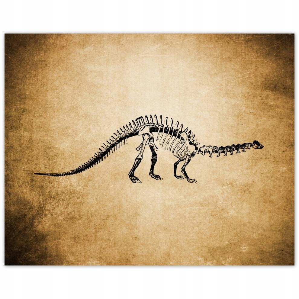 

Plakat 50x40 Dinozaur Prehistoria Dino