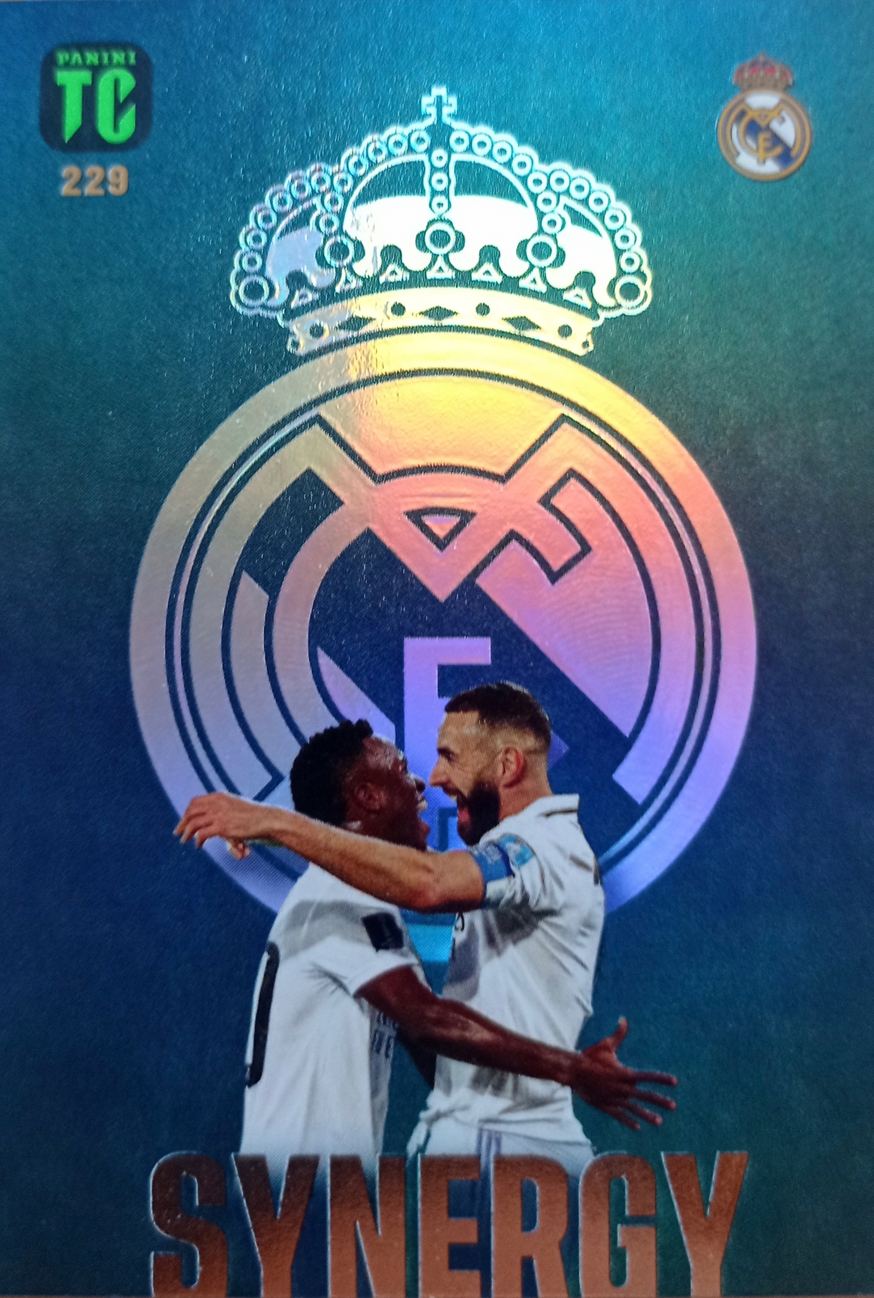 Top Class 2023 Synergy 229 Real Vinicius Benzema