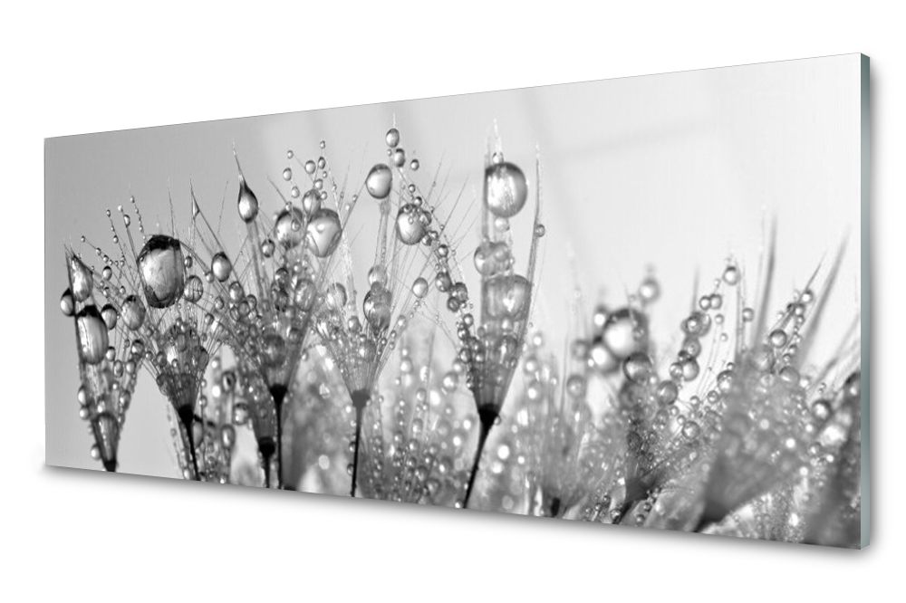

Panel szklany do kuchni Dmuchawiec Kropla 125x50