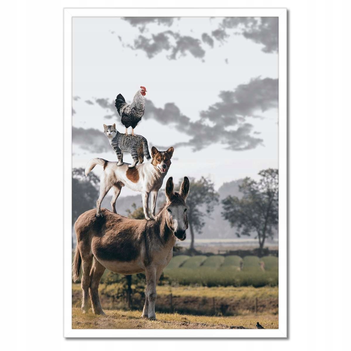 Plakáty v rámu 40x60 Zvířata Zvířátka