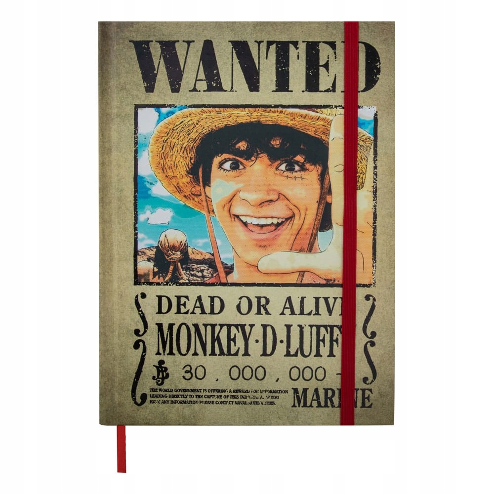 One Piece Wanted Poster - Niska cena na Allegro